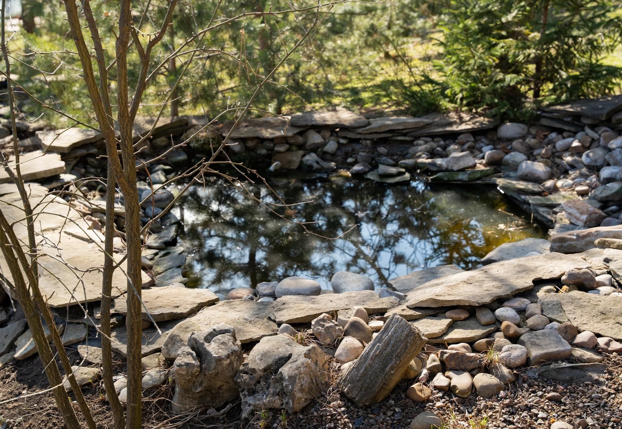 Sonia's healing sanctuary garden with pond